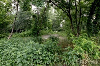 wth_20110624_0796