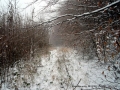 krahulcie-vrchy-01-slavo-frcka