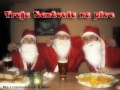 traja_santovia_na_pive-zito