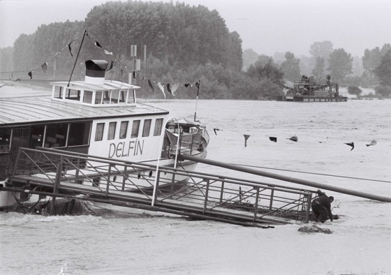 delfin foto jan galo