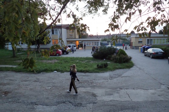 OLYMPUS DIGITAL CAMERA