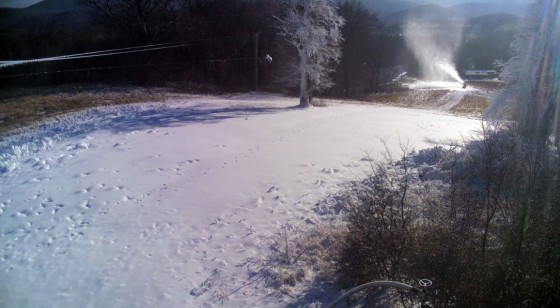 bezovec zasnezovanie