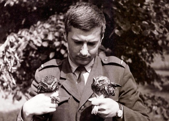 prve hniezdenie labute 001