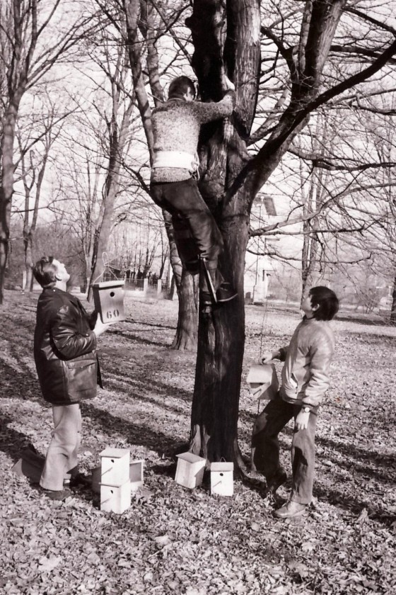 vesanie budok v parku E. Kubica 001