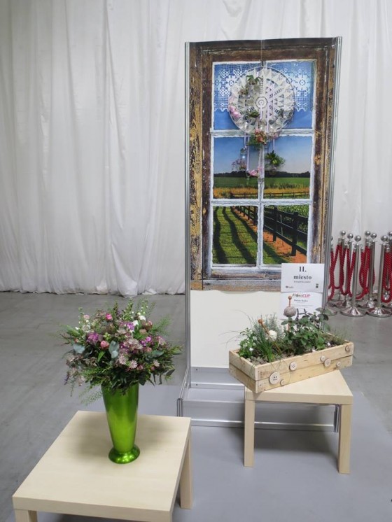 11182042_916003328469964_6849983869080520915_n