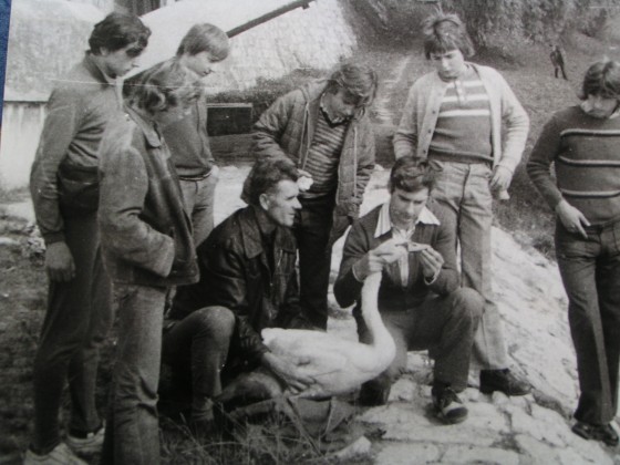 MINOLTA DIGITAL CAMERA