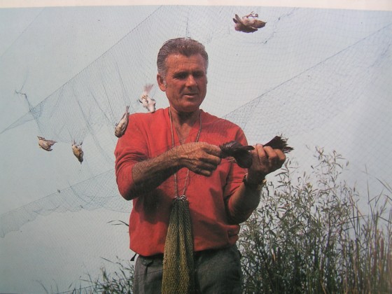 MINOLTA DIGITAL CAMERA