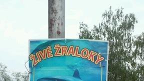 PNxPiwfmaXOtVRP-800x450-noPad