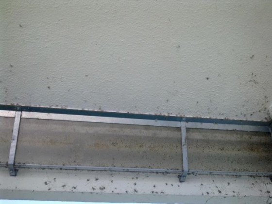 kolonadovy most osvetl