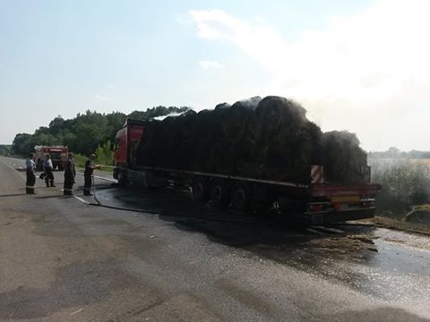 10414852_440669322788692_1970820723681385254_n