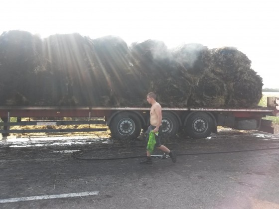 10922886_440669316122026_3343215718935695309_o