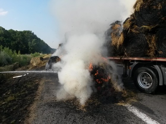 11225768_440669309455360_570994325855040954_o