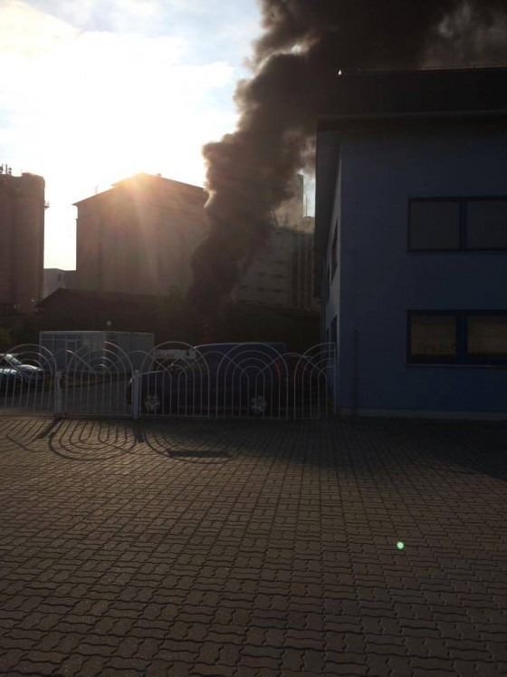 11694971_10204259655643762_8247226276114329324_n