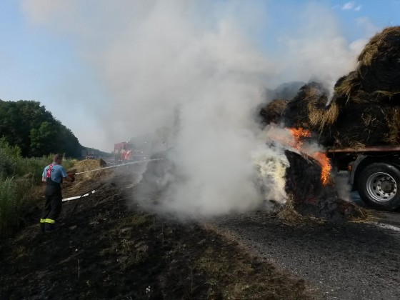 11705412_440669379455353_6847782783612797947_o