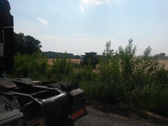 11728895_440669306122027_6006534990536649219_o (1)