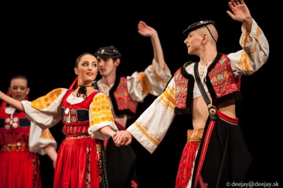 slnecnica-nov2013-5256