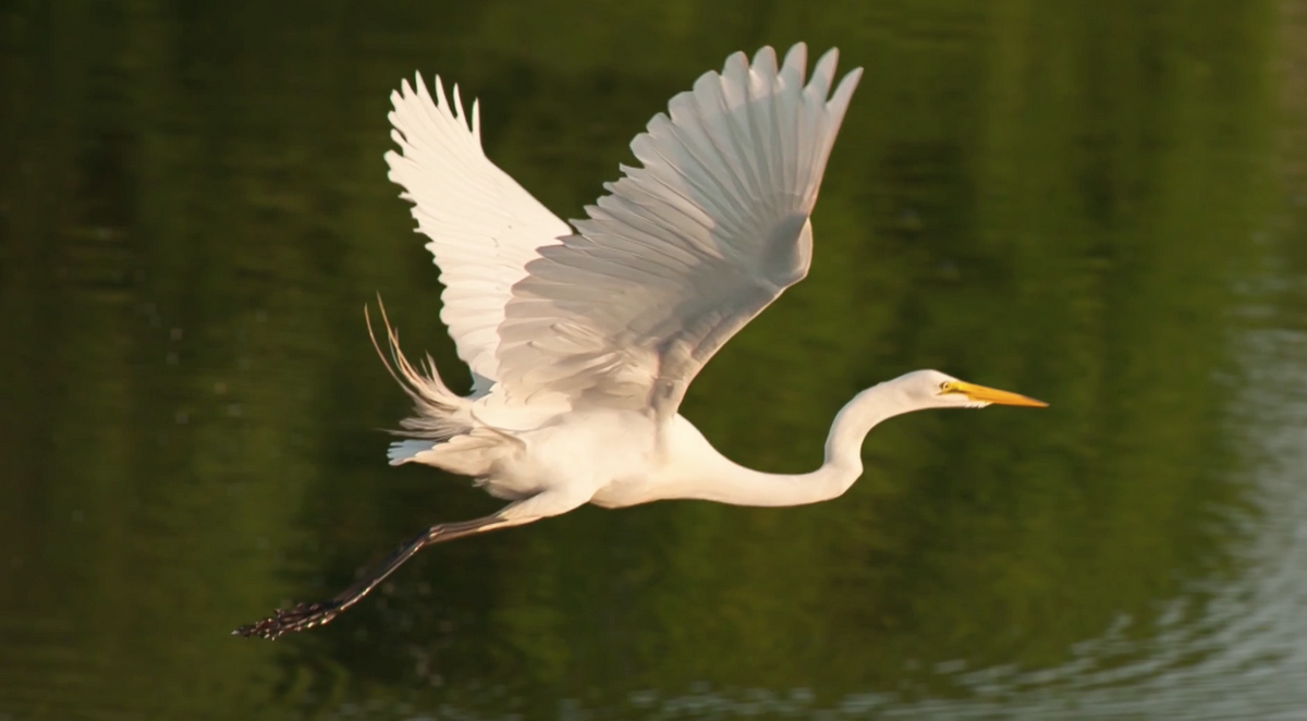 084_smutna-piesen-vody_1_resize