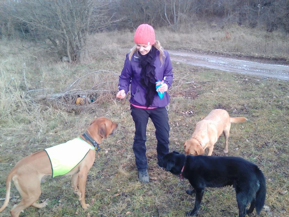 12552613_913269998780945_5713650179908073750_n