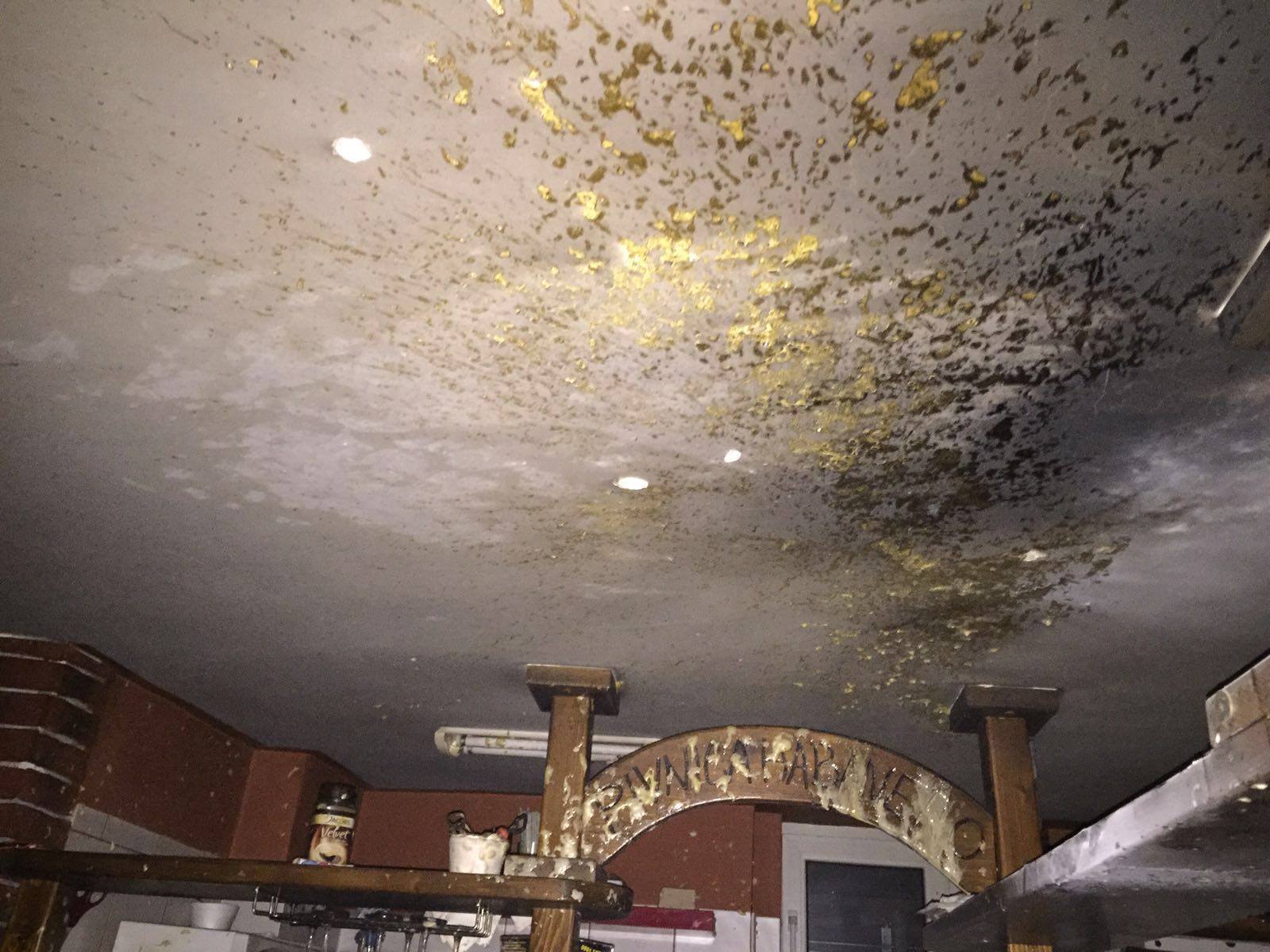 12628491_647416938755445_1009130916918675363_o