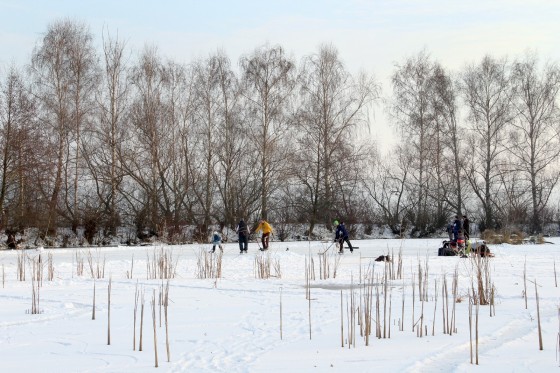 MH_20160105_IMG_2745_w