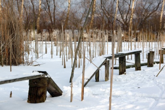 TH_20160105__MG_3816_w