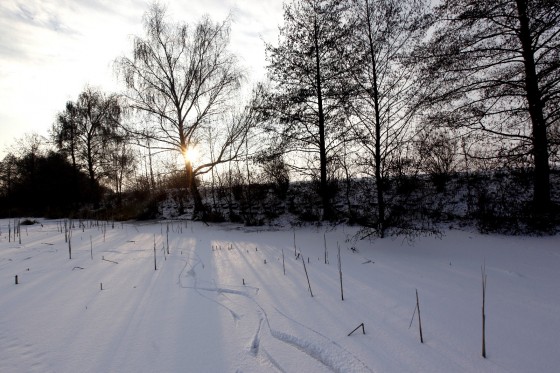 TH_20160105__MG_3828_w