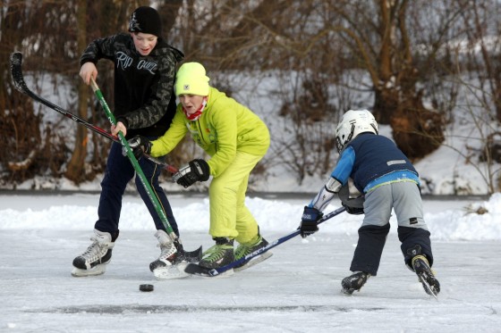 TH_20160105__MG_3916_w