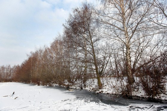 TH_20160105__MG_3949_w