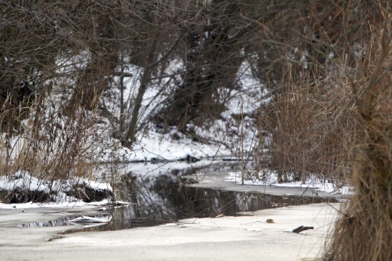 TH_20160105__MG_3952_w