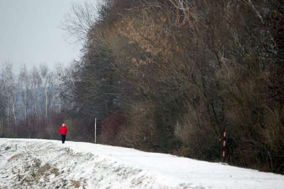 TH_20160105__MG_3993_w