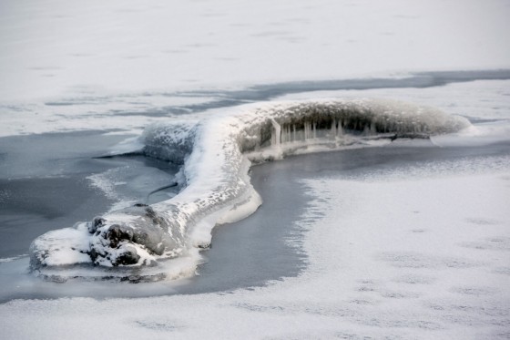 TH_20160105__MG_3998_w