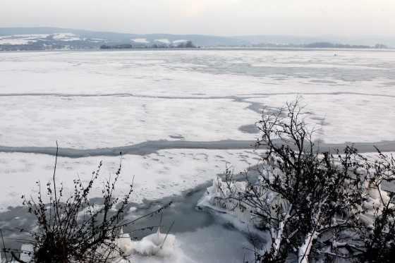 TH_20160105__MG_4001_w