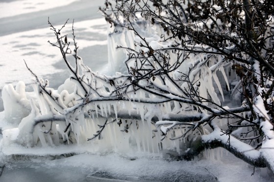 TH_20160105__MG_4003_w