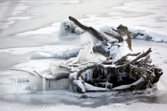 TH_20160105__MG_4005_w