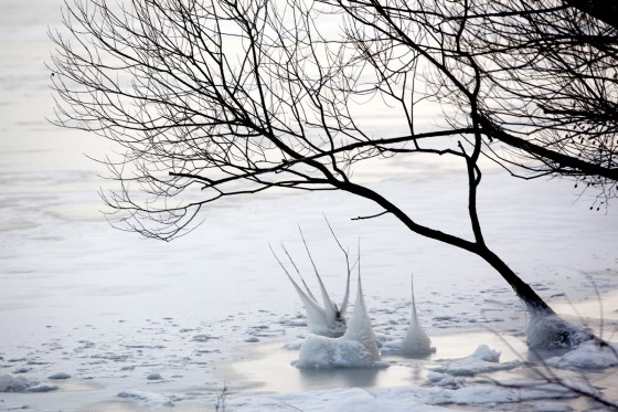 TH_20160105__MG_4009_w