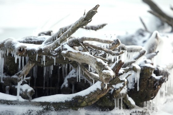 TH_20160105__MG_4012_w