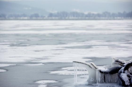 TH_20160105__MG_4014_w