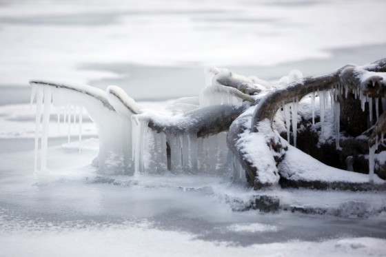 TH_20160105__MG_4015_w