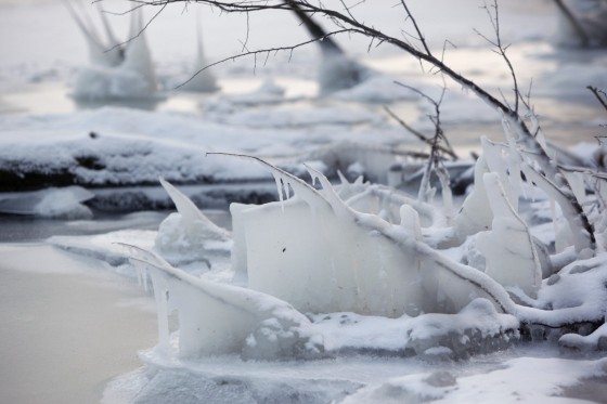 TH_20160105__MG_4016_w