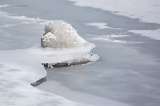 TH_20160105__MG_4020_w