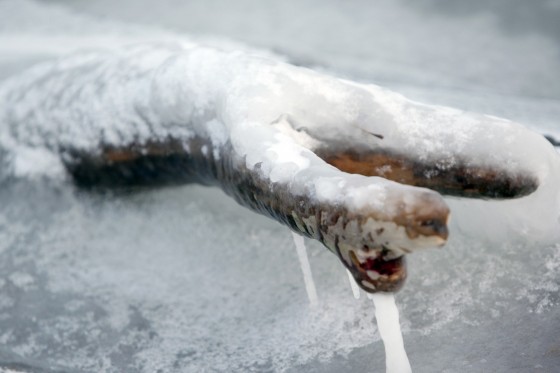 TH_20160105__MG_4025_w