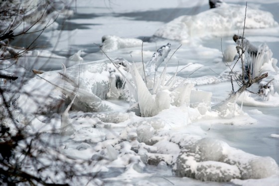 TH_20160105__MG_4026_w