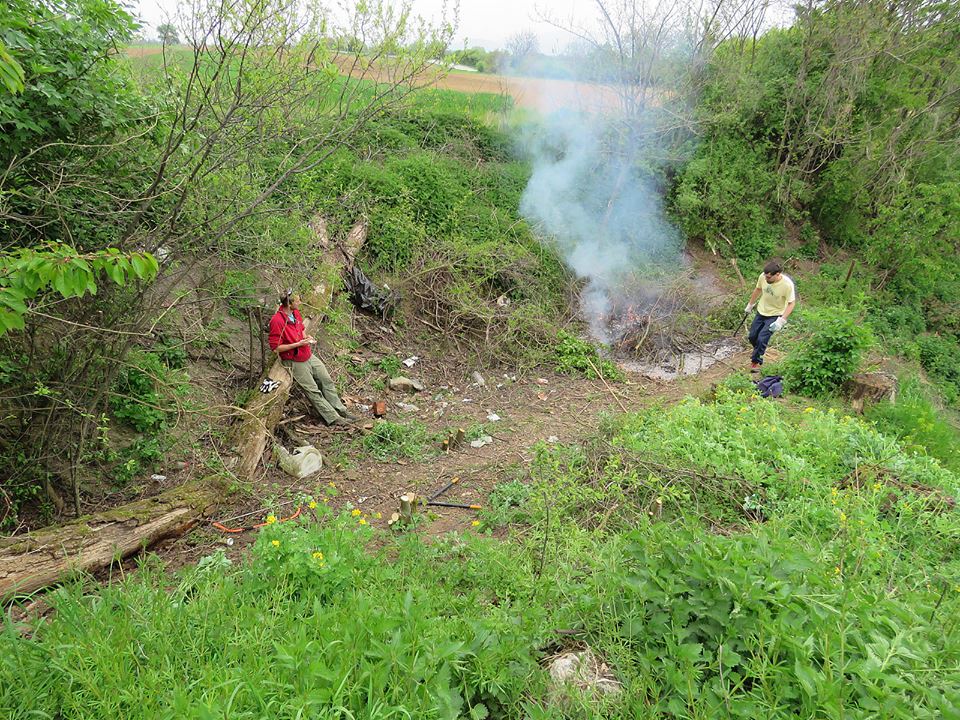 13092176_552460758267380_7817889181025675601_n