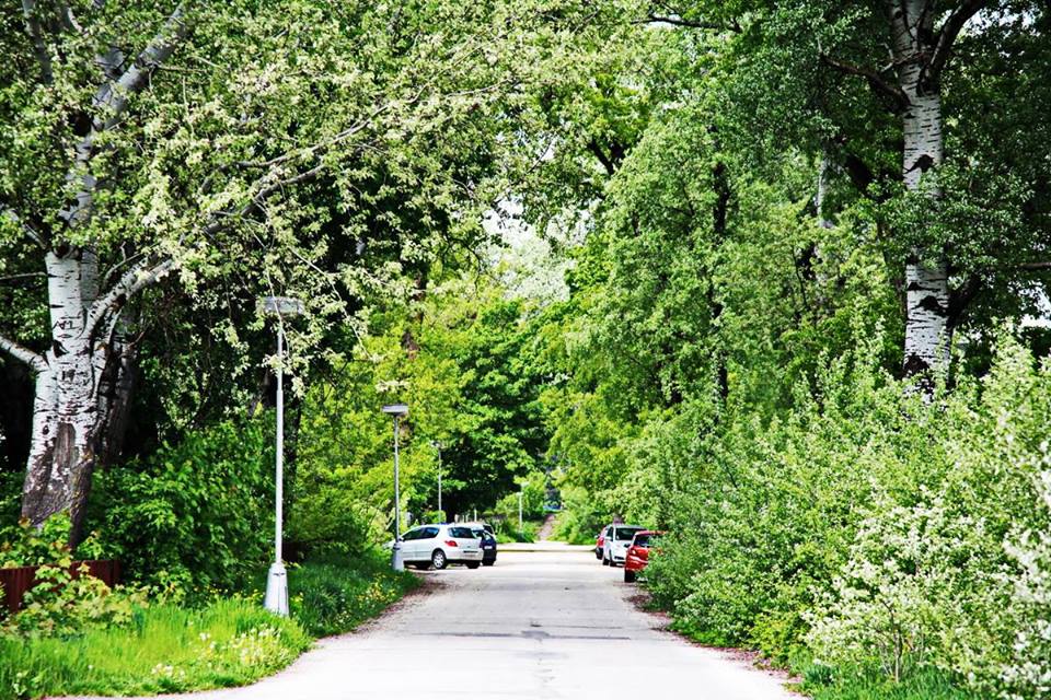 1924120_10209202385440802_647995421080238981_n