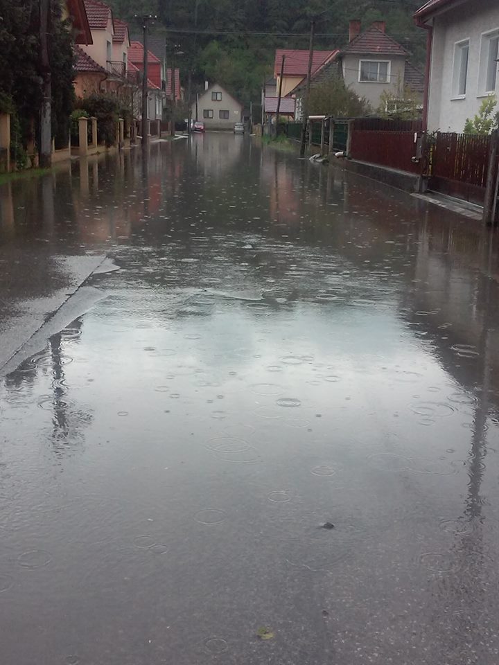 13096227_1112174018805078_3784181145340103663_n