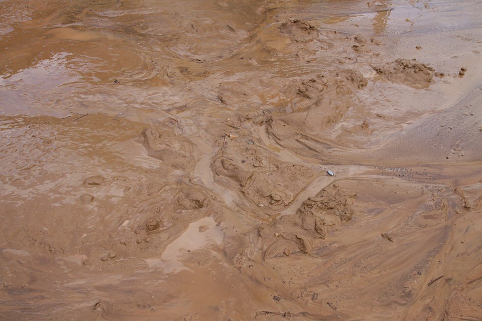 13103350_10205514549975524_4168276531576427477_n