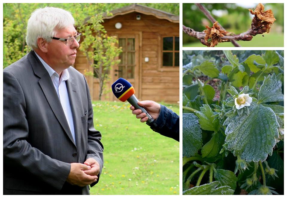 13151864_848319765300239_8360028511918069015_n