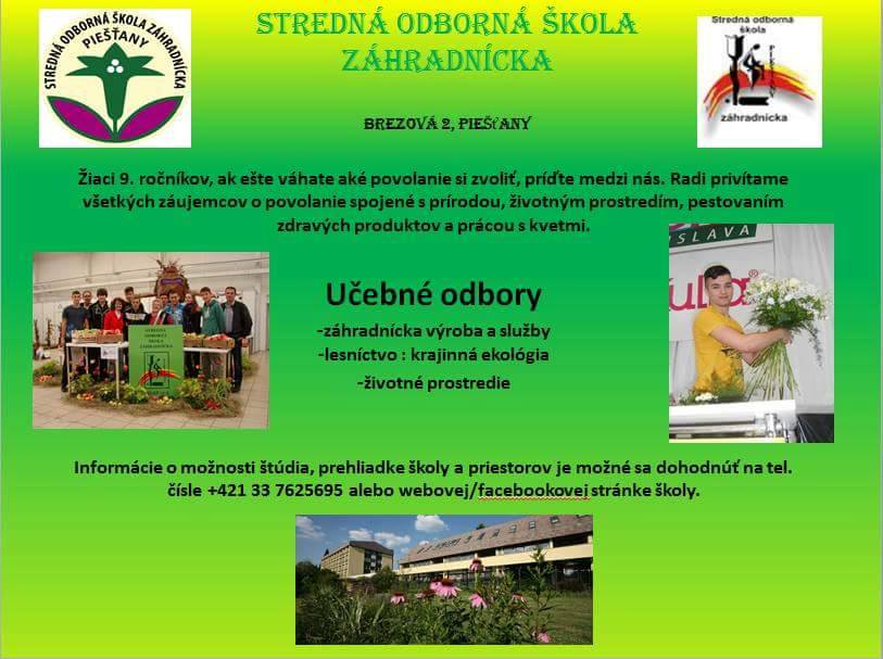 13180809_1271188066242068_245522105_n