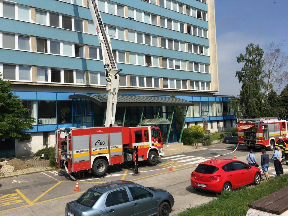 13281846_10206324038688069_582183016_n