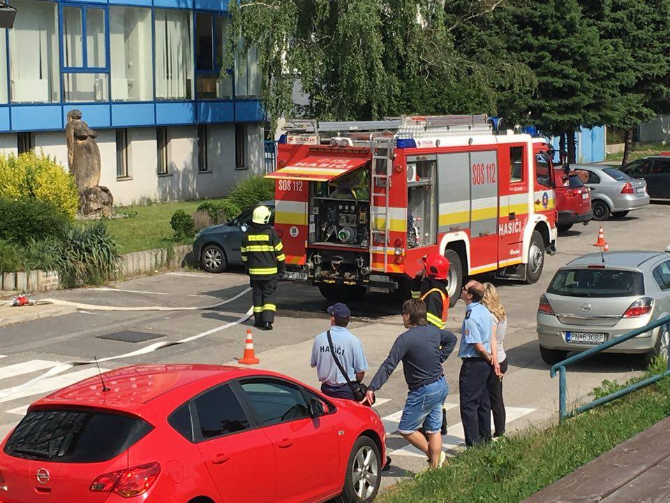 13288819_10206324038848073_849178172_n